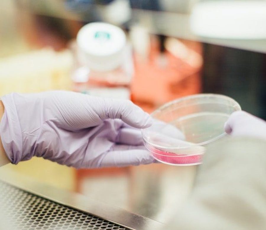 I+D+i, ‘that’s the question’ I+D+i, 'that's the question'