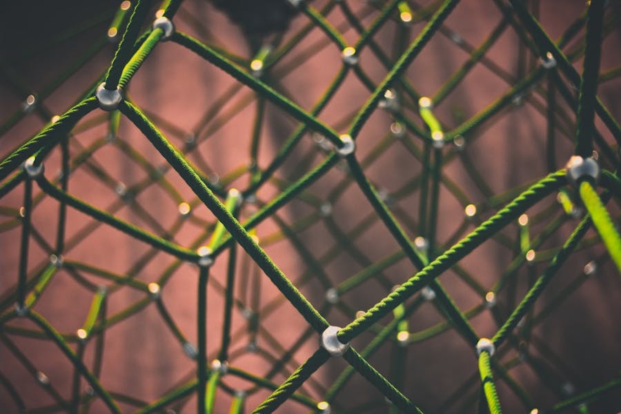Big data vs data science: Principales diferencias Big data vs data science